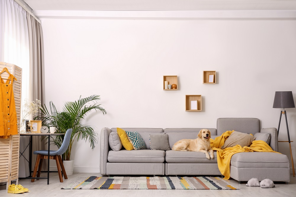 Living Room Colour Palettes For Winter, Living Room Colour Palette 2020